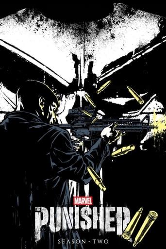 Marvel's The Punisher poster image