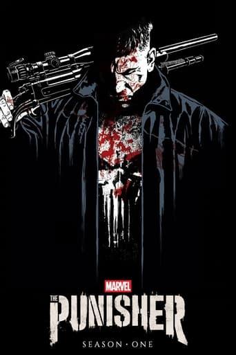 Marvel's The Punisher poster image